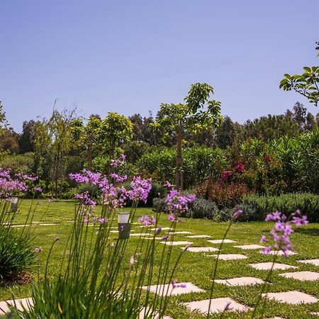 Mear Holiday Homes - Cretan Summer Getaways Kountoura Selino Екстер'єр фото