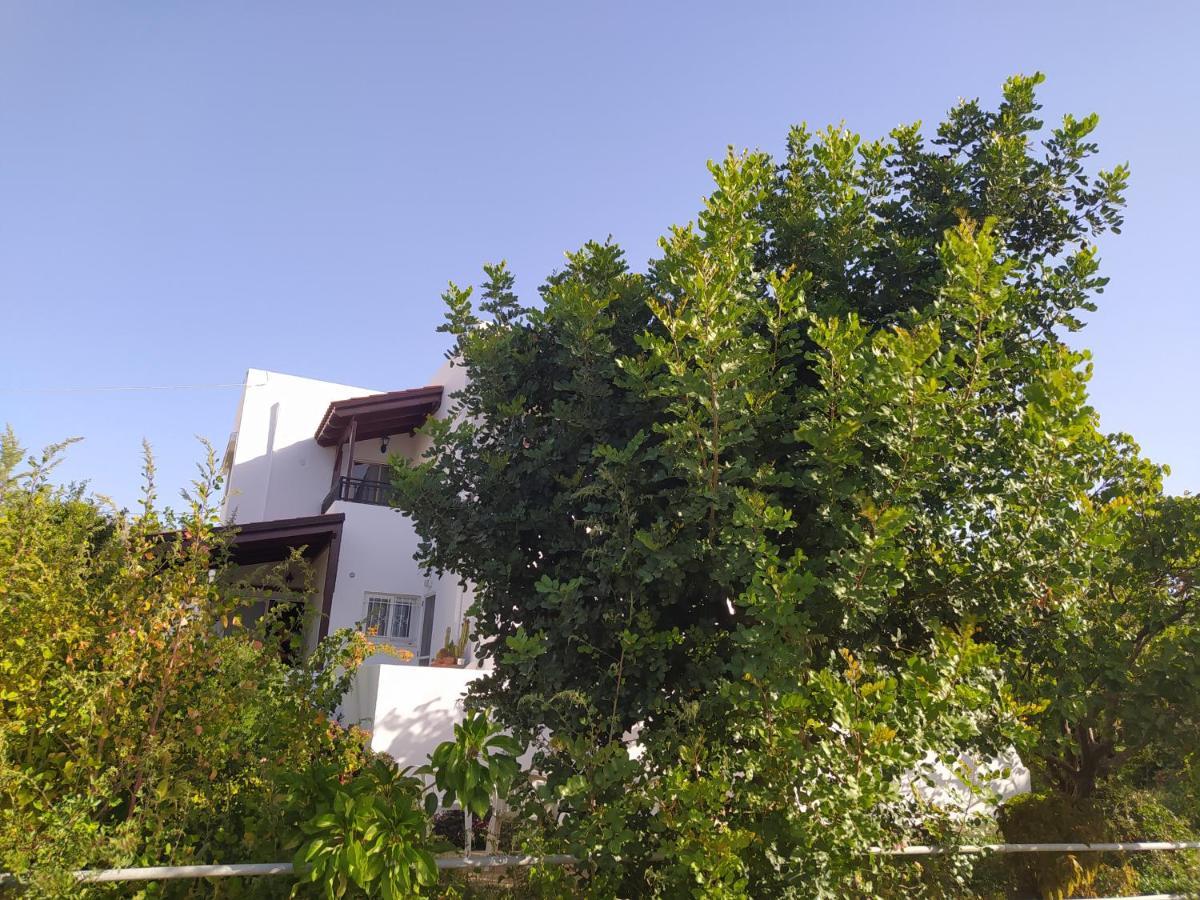 Mear Holiday Homes - Cretan Summer Getaways Kountoura Selino Екстер'єр фото